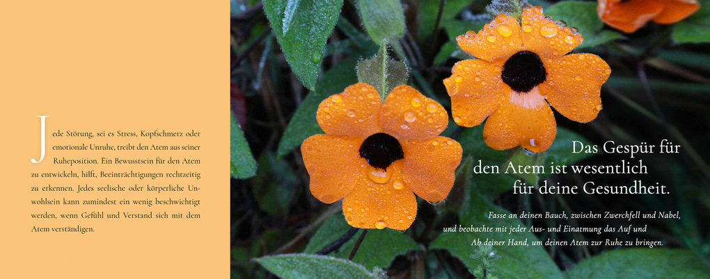 Weitere Ansicht: Meine Momente zum Durchatmen | R. Sriram, Anjali Sriram