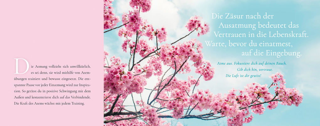 Weitere Ansicht: Meine Momente zum Durchatmen | R. Sriram, Anjali Sriram