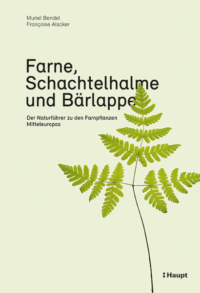 Produktbild: Farne, Schachtelhalme und Bärlappe | Muriel Bendel, Françoise Alsaker