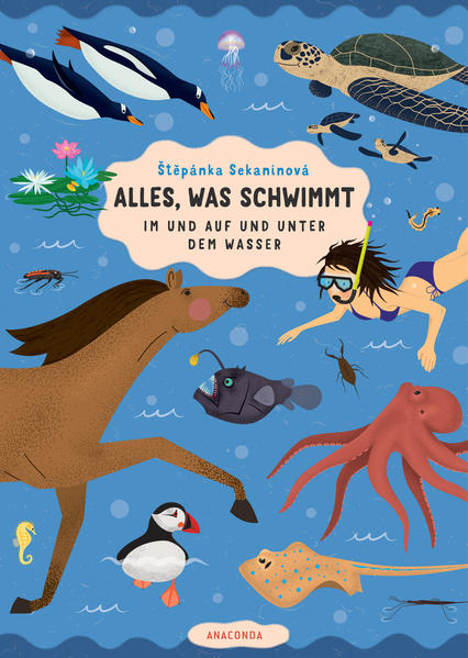 Produktbild: Alles, was schwimmt. Im und auf und unter dem Wasser | Štpánka Sekaninová, Stepánka Sekaninová