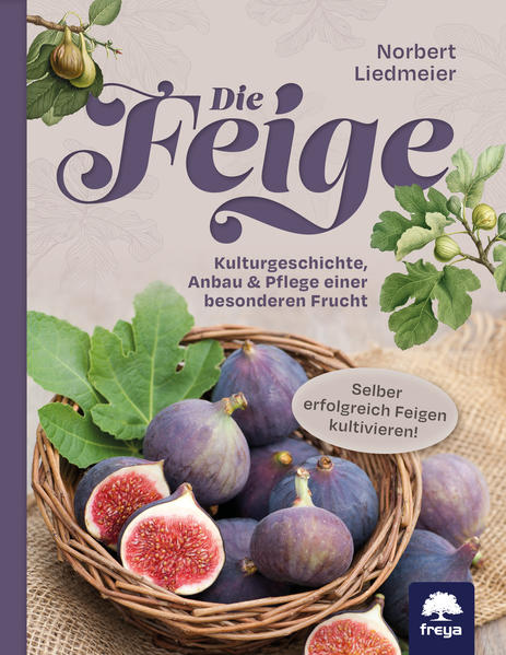 Produktbild: Die Feige | Norbert Liedmeier