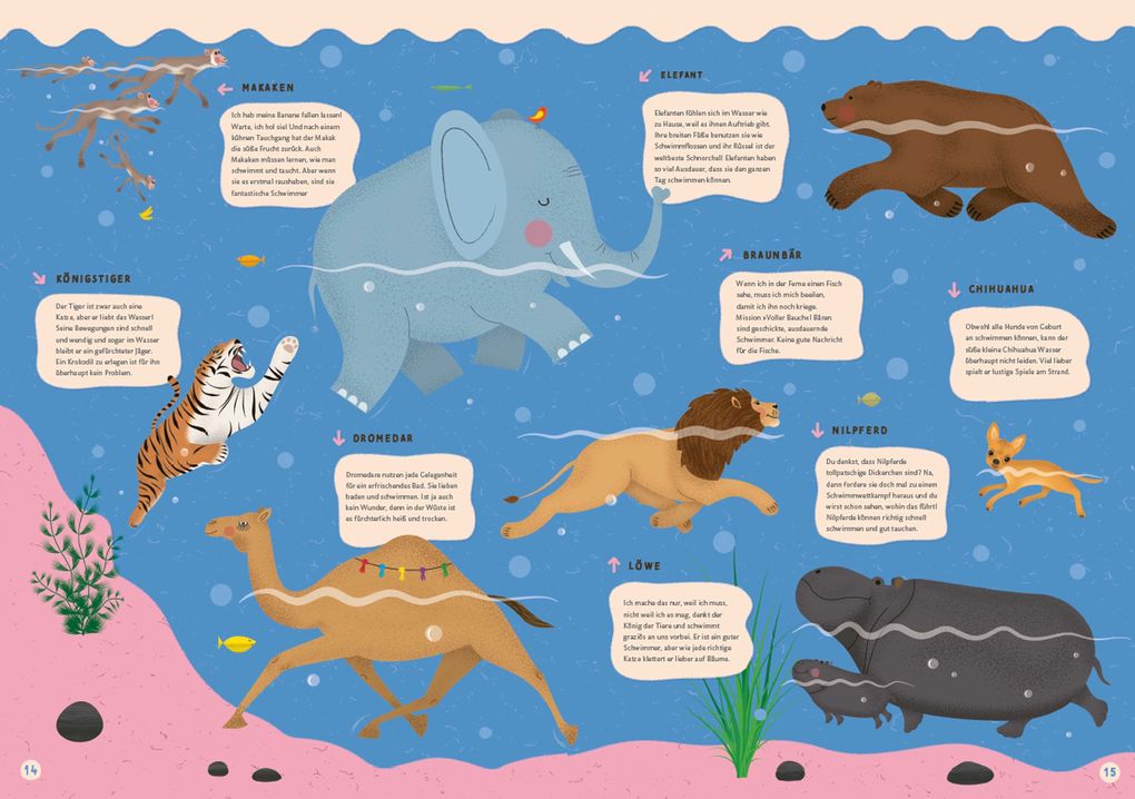 Weitere Ansicht: Alles, was schwimmt. Im und auf und unter dem Wasser | Štpánka Sekaninová, Stepánka Sekaninová