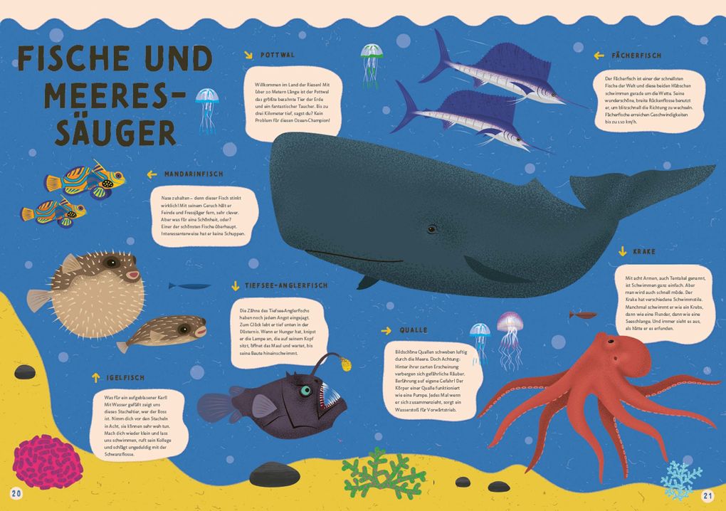Weitere Ansicht: Alles, was schwimmt. Im und auf und unter dem Wasser | Štpánka Sekaninová, Stepánka Sekaninová