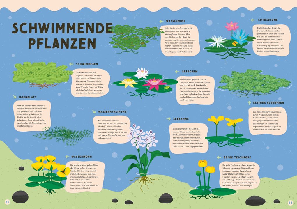 Weitere Ansicht: Alles, was schwimmt. Im und auf und unter dem Wasser | Štpánka Sekaninová, Stepánka Sekaninová