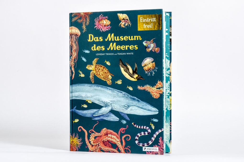Weitere Ansicht: Das Museum des Meeres | Loveday Trinick, Teagan White