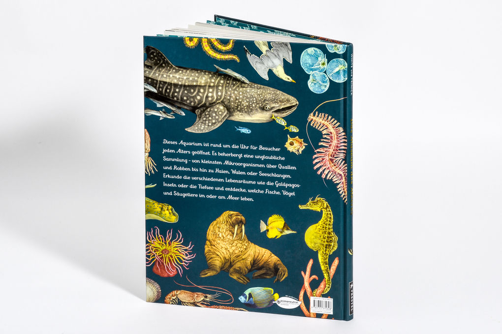 Weitere Ansicht: Das Museum des Meeres | Loveday Trinick, Teagan White