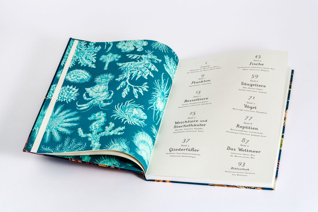 Weitere Ansicht: Das Museum des Meeres | Loveday Trinick, Teagan White