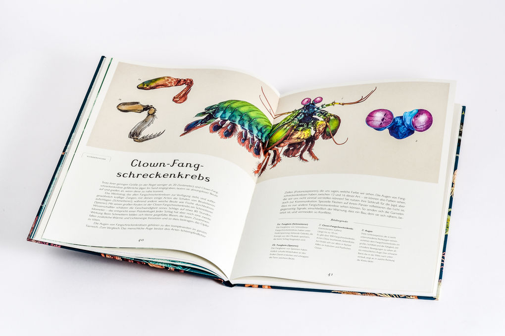 Weitere Ansicht: Das Museum des Meeres | Loveday Trinick, Teagan White