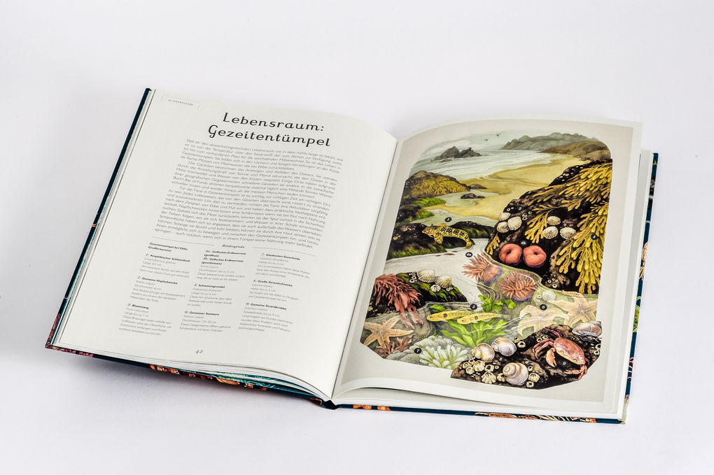 Weitere Ansicht: Das Museum des Meeres | Loveday Trinick, Teagan White