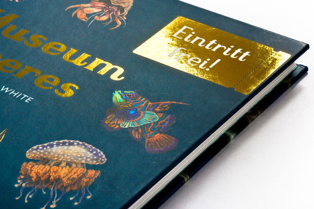 Weitere Ansicht: Das Museum des Meeres | Loveday Trinick, Teagan White