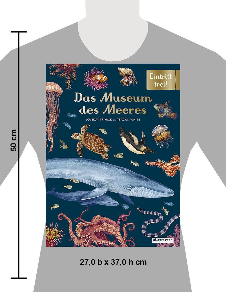 Weitere Ansicht: Das Museum des Meeres | Loveday Trinick, Teagan White