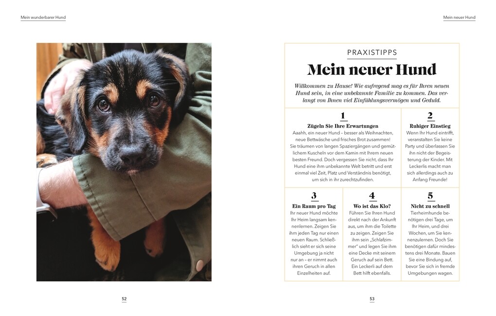 Weitere Ansicht: Das denkt dein Hund | Hannah Molloy