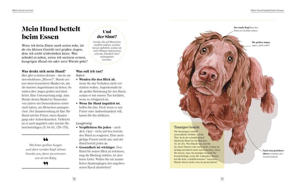 Weitere Ansicht: Das denkt dein Hund | Hannah Molloy