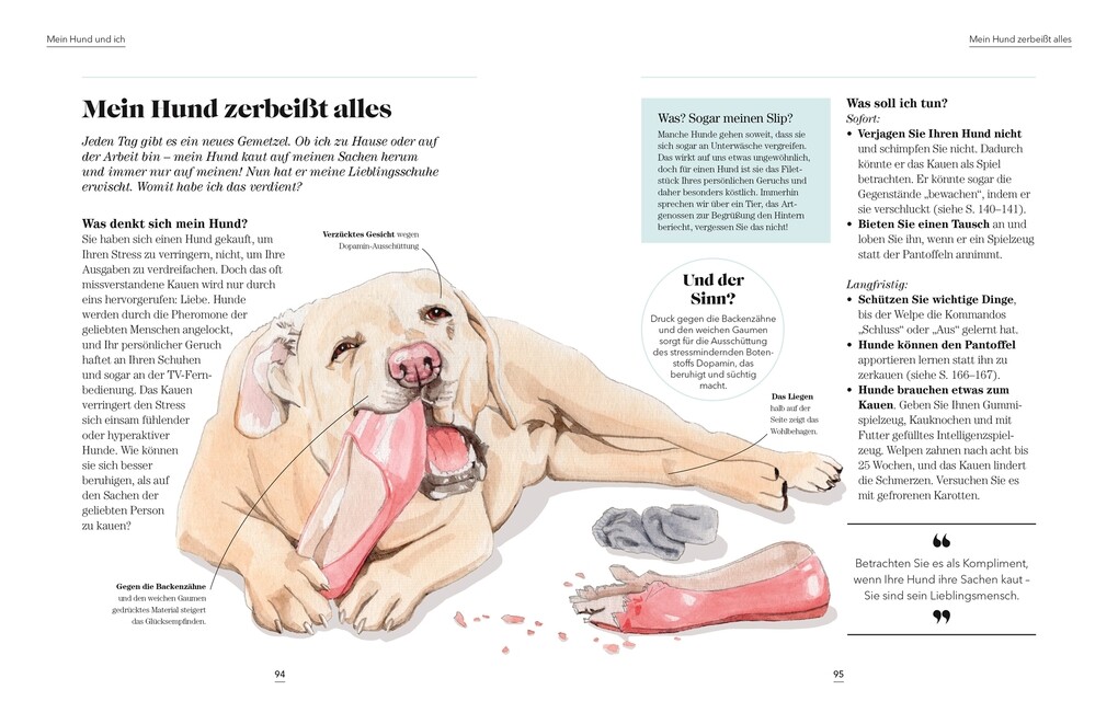 Weitere Ansicht: Das denkt dein Hund | Hannah Molloy