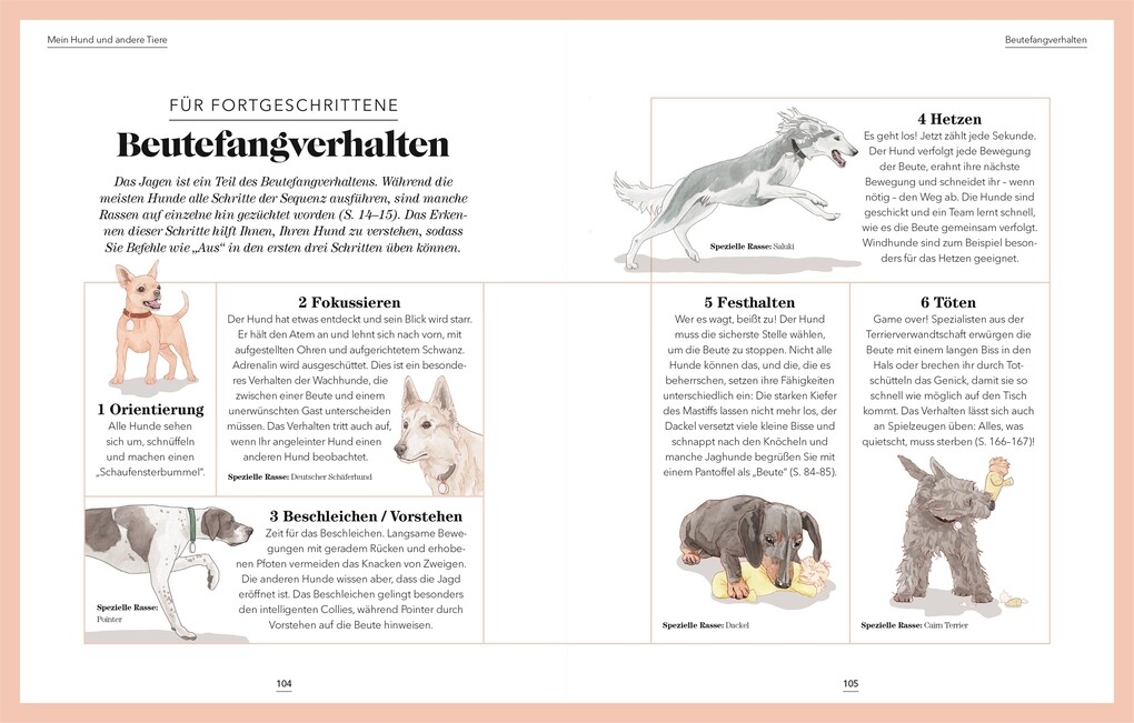 Weitere Ansicht: Das denkt dein Hund | Hannah Molloy