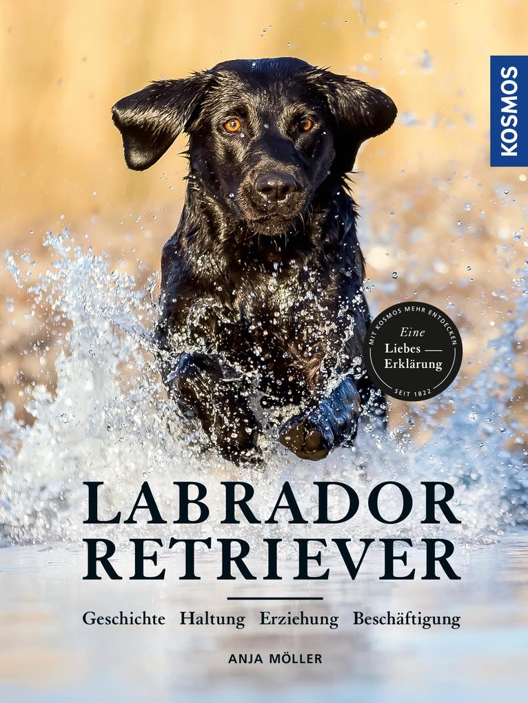 Produktbild: Labrador Retriever | Anja Möller