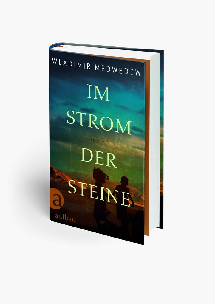 Weitere Ansicht: Im Strom der Steine | Wladimir Medwedew