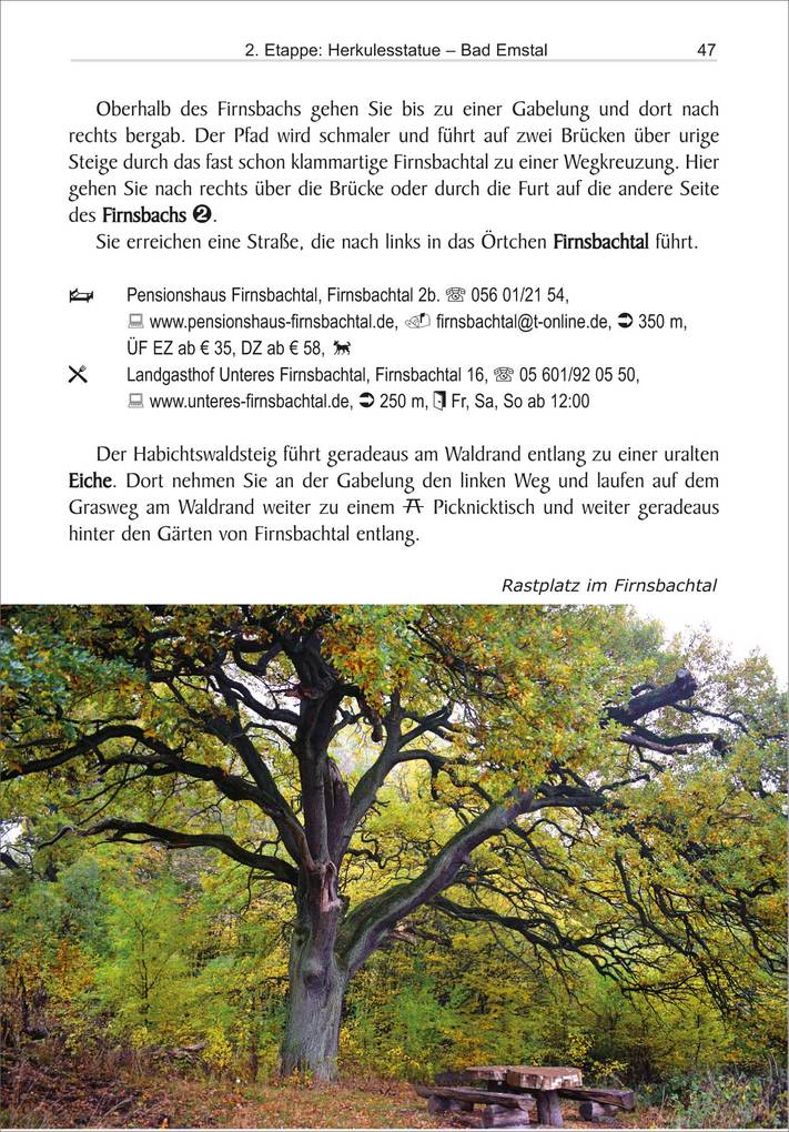 Weitere Ansicht: Habichtswaldsteig | Ingrid Retterath