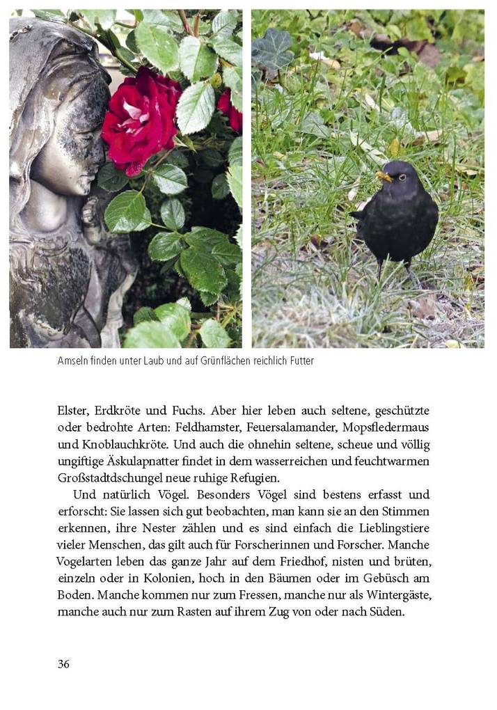 Weitere Ansicht: Der Friedhof lebt! | Sigrid Tinz