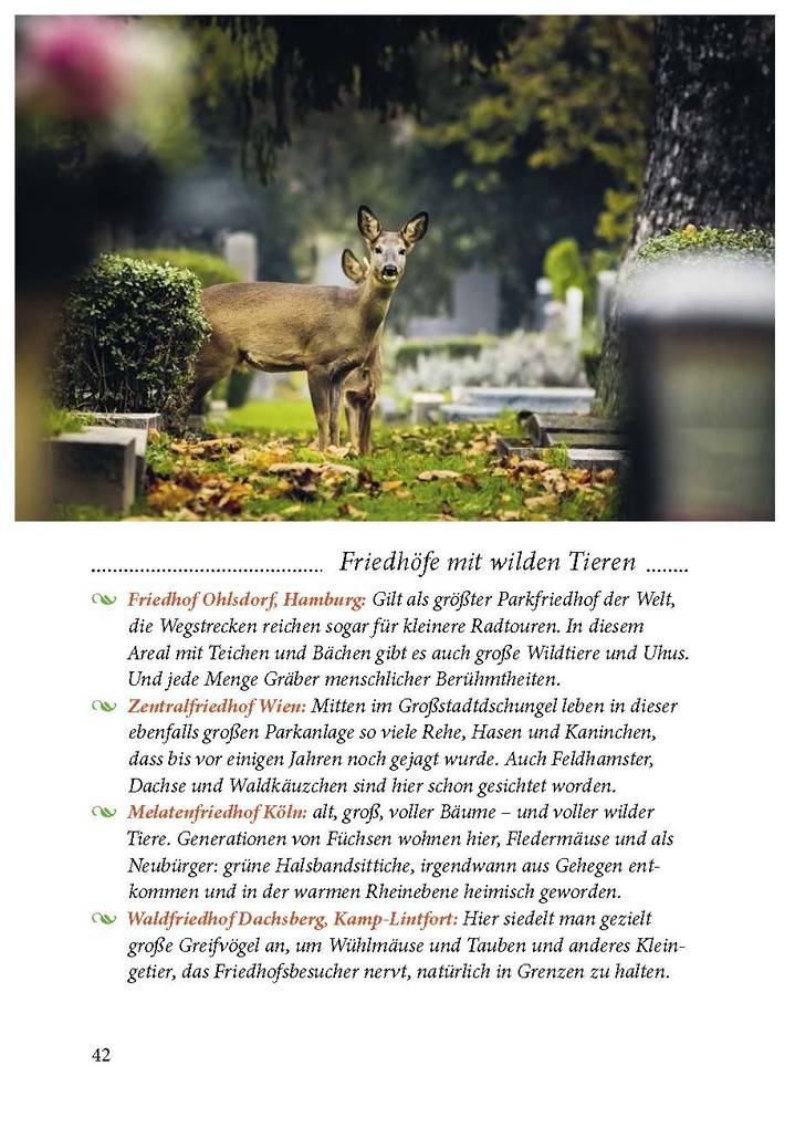 Weitere Ansicht: Der Friedhof lebt! | Sigrid Tinz