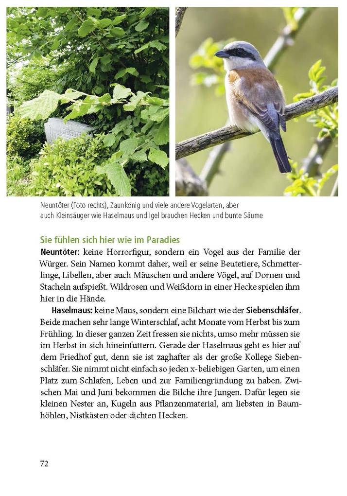 Weitere Ansicht: Der Friedhof lebt! | Sigrid Tinz