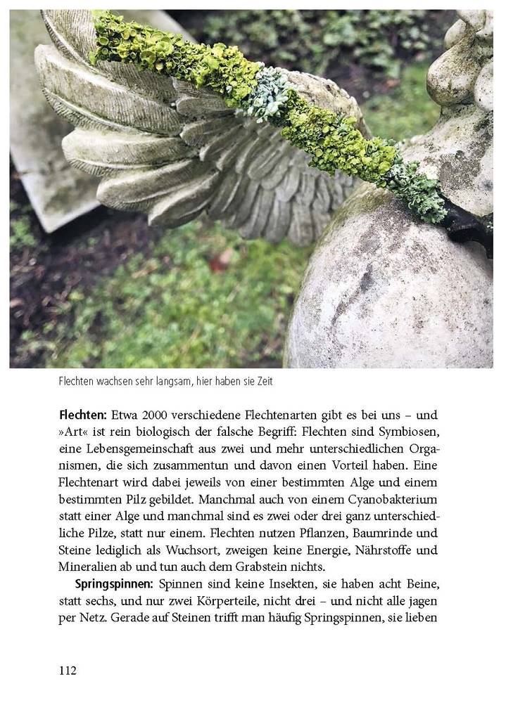 Weitere Ansicht: Der Friedhof lebt! | Sigrid Tinz