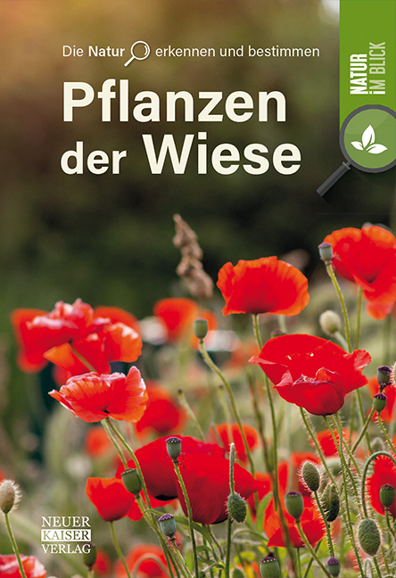 Produktbild: Pflanzen der Wiese