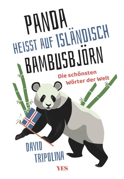 »Panda« heißt auf Isländisch »Bambusbjörn« als Buch (gebunden)