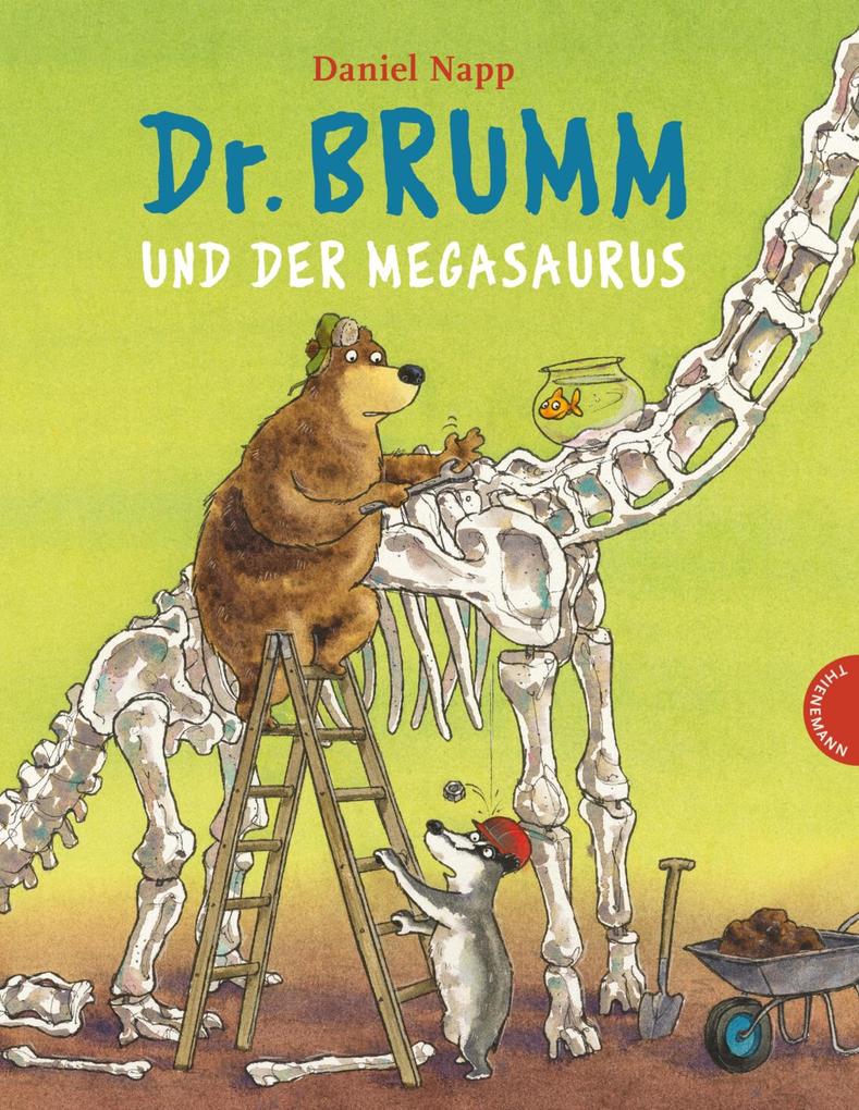 Produktbild: Dr. Brumm: Dr. Brumm und der Megasaurus | Daniel Napp