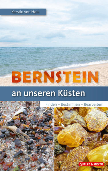 Produktbild: Bernstein an unseren Küsten | Kerstin Holt