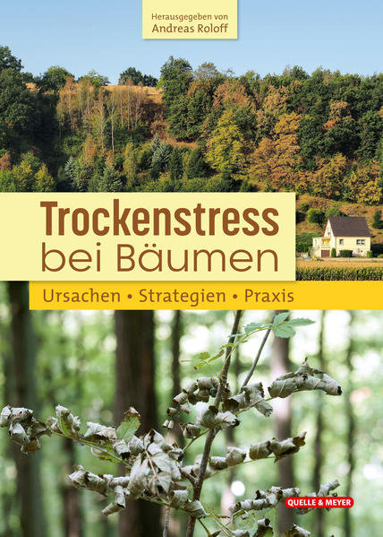 Produktbild: Trockenstress bei Bäumen