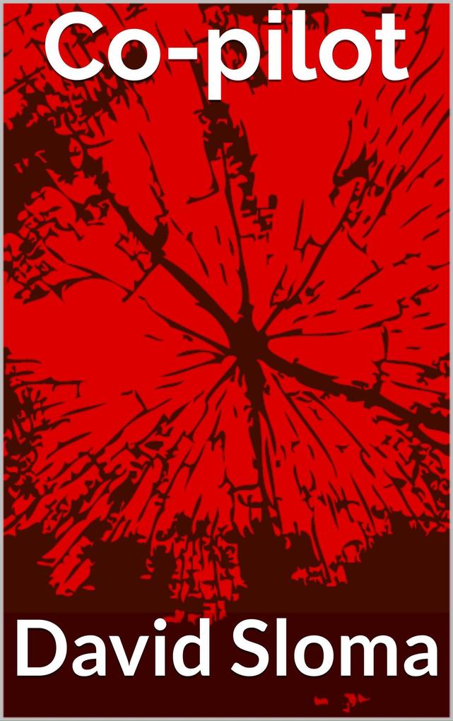 Produktbild: Co-pilot | David Sloma