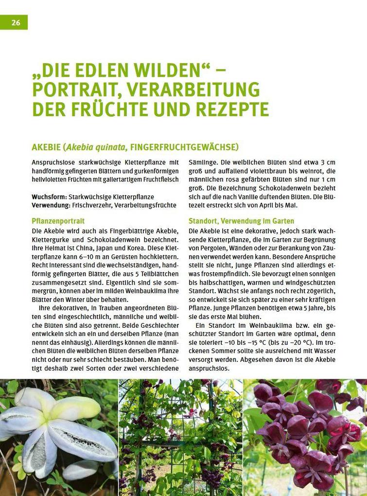 Weitere Ansicht: Besondere Obstarten | Helmut Pirc, Adele Pirc