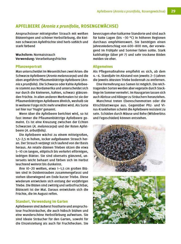 Weitere Ansicht: Besondere Obstarten | Helmut Pirc, Adele Pirc