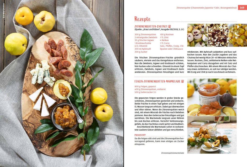 Weitere Ansicht: Besondere Obstarten | Helmut Pirc, Adele Pirc