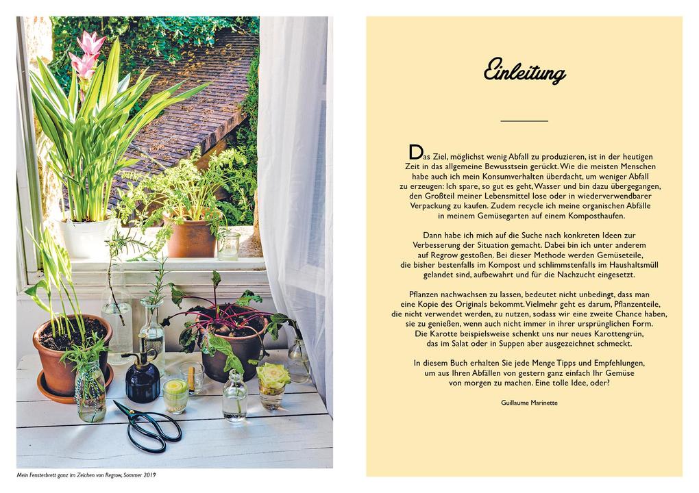 Weitere Ansicht: Regrow für Einsteiger | Guillaume Marinette