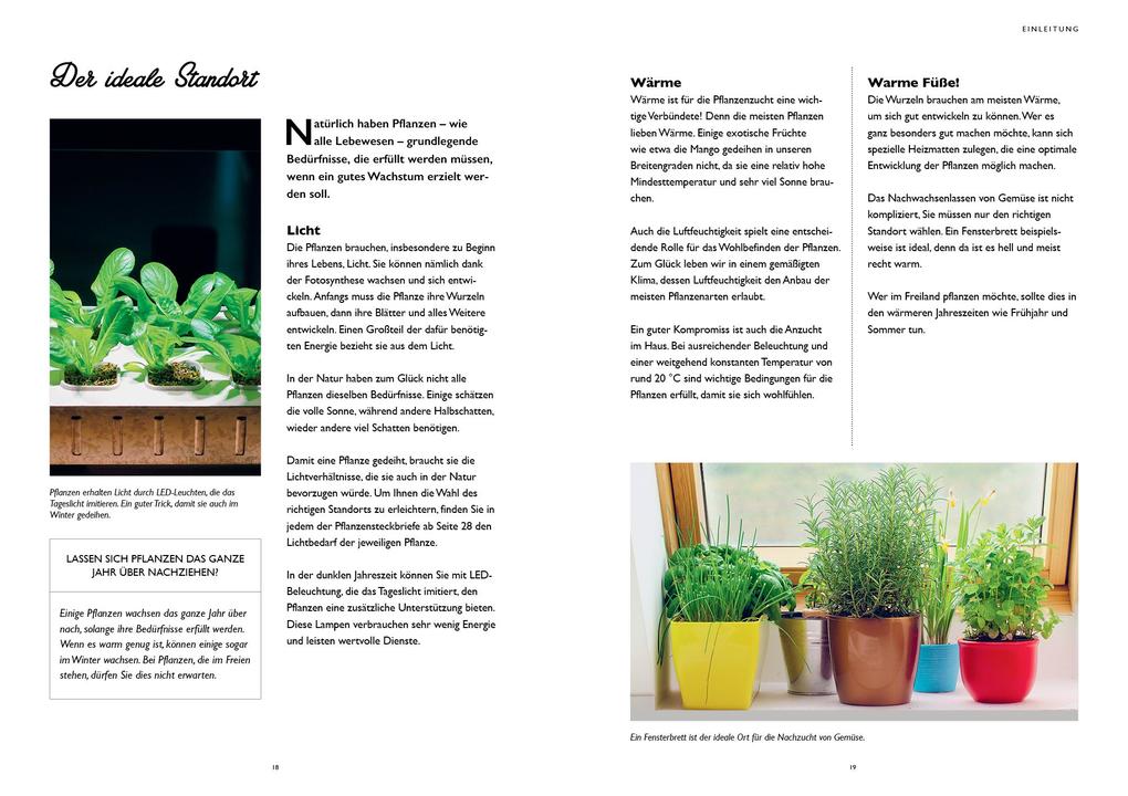 Weitere Ansicht: Regrow für Einsteiger | Guillaume Marinette