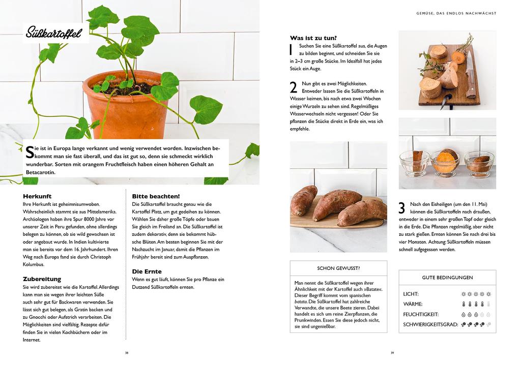 Weitere Ansicht: Regrow für Einsteiger | Guillaume Marinette