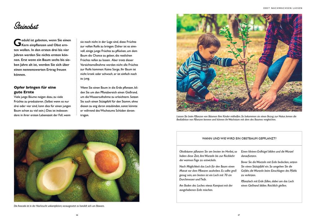 Weitere Ansicht: Regrow für Einsteiger | Guillaume Marinette