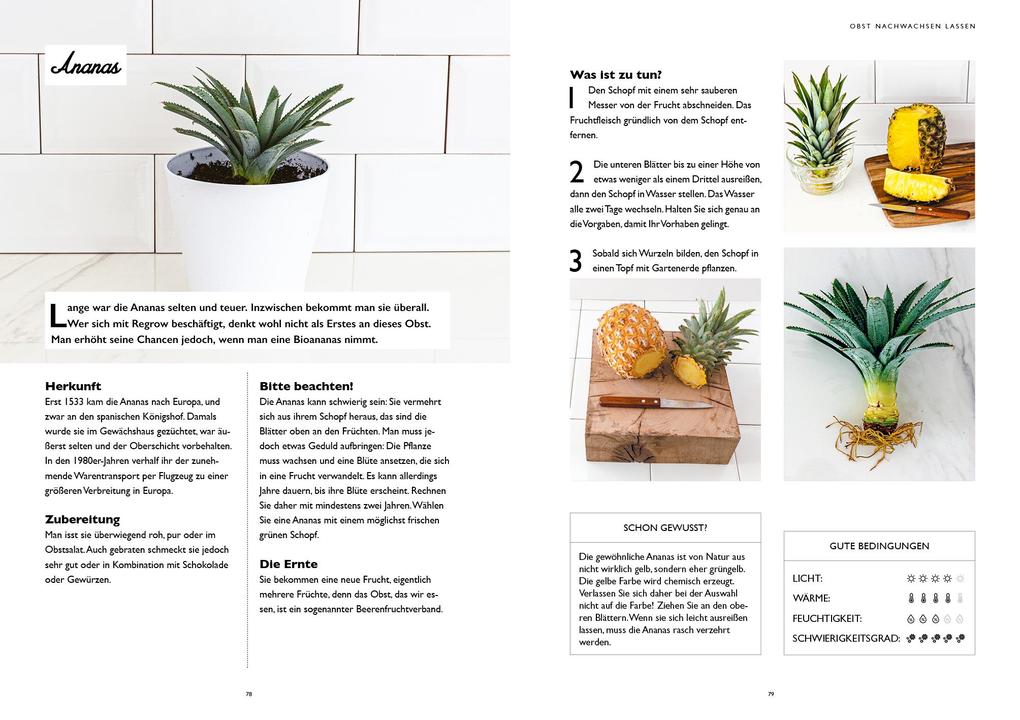 Weitere Ansicht: Regrow für Einsteiger | Guillaume Marinette