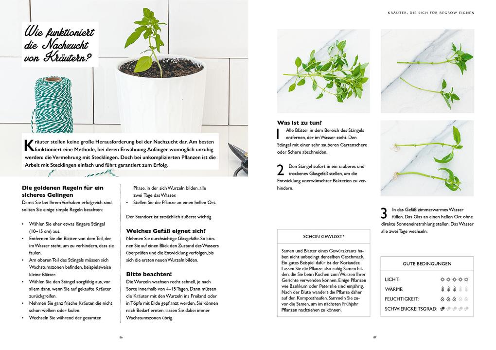 Weitere Ansicht: Regrow für Einsteiger | Guillaume Marinette