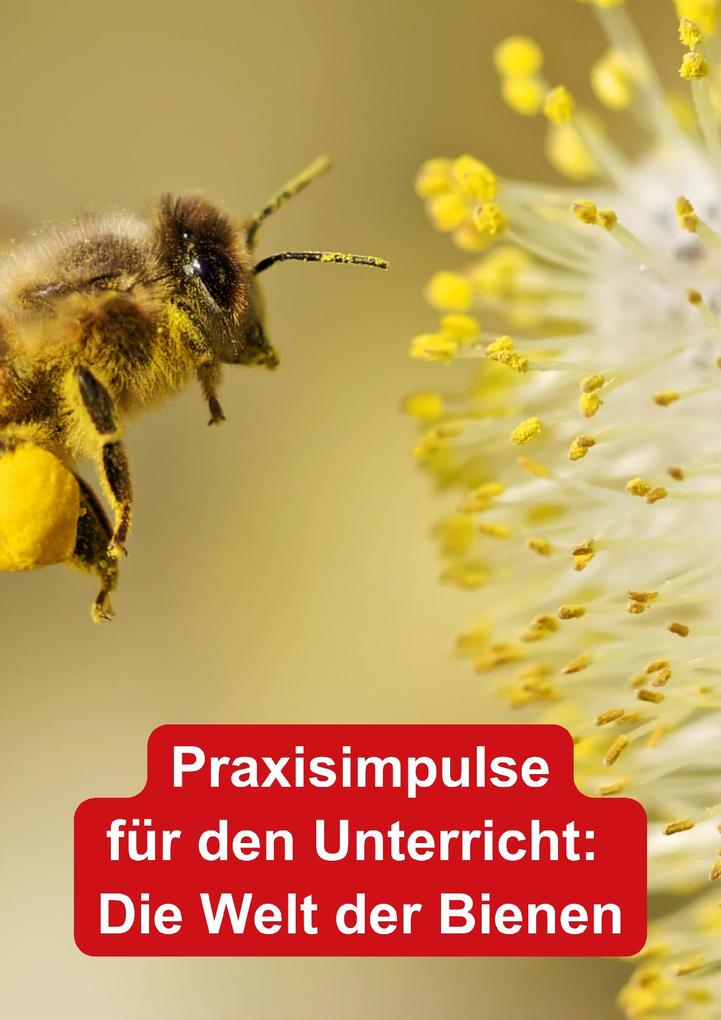 Weitere Ansicht: Themenheft. Unsere Bienen | Melanie Braun