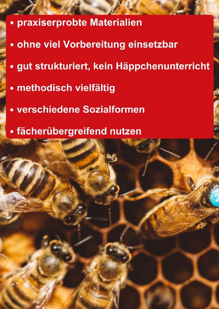Weitere Ansicht: Themenheft. Unsere Bienen | Melanie Braun