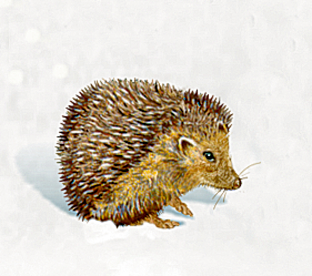 Weitere Ansicht: A3-Wandkalender - Zauberhaftes Weihnachtshaus