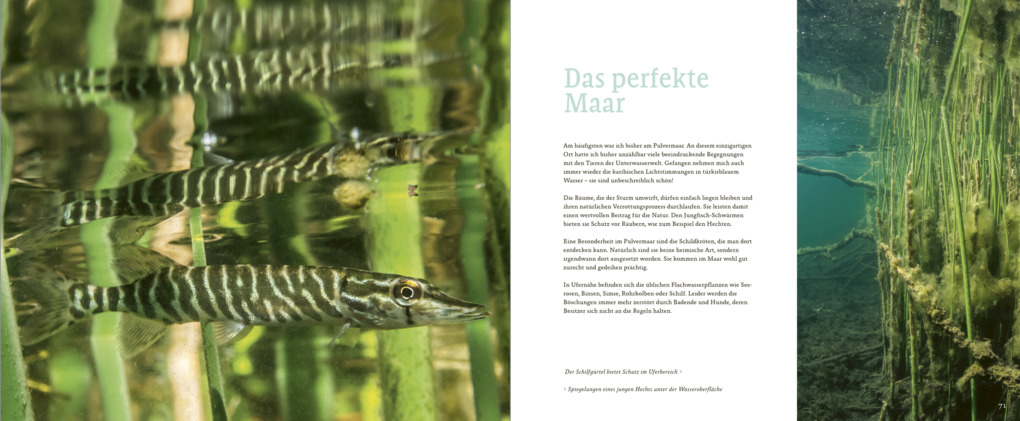 Weitere Ansicht: Maare, Quellen, Wasserfälle | Claudia Weber-Gebert