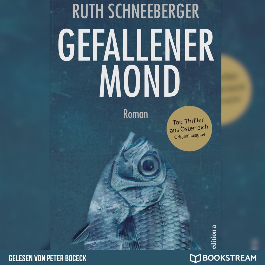 Produktbild: Gefallener Mond | Ruth Schneeberger