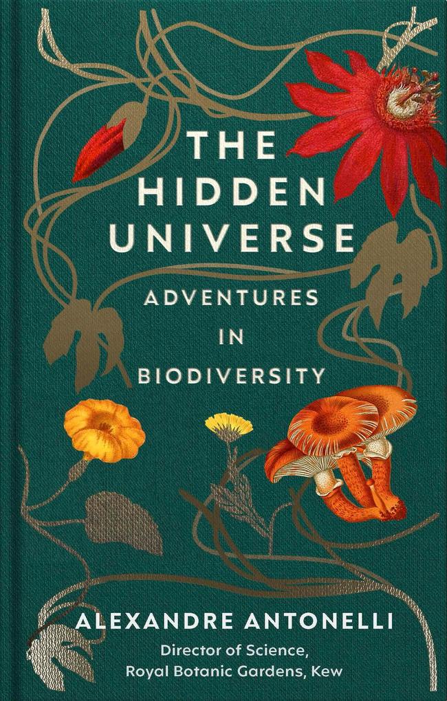Produktbild: The Hidden Universe | Alexandre Antonelli