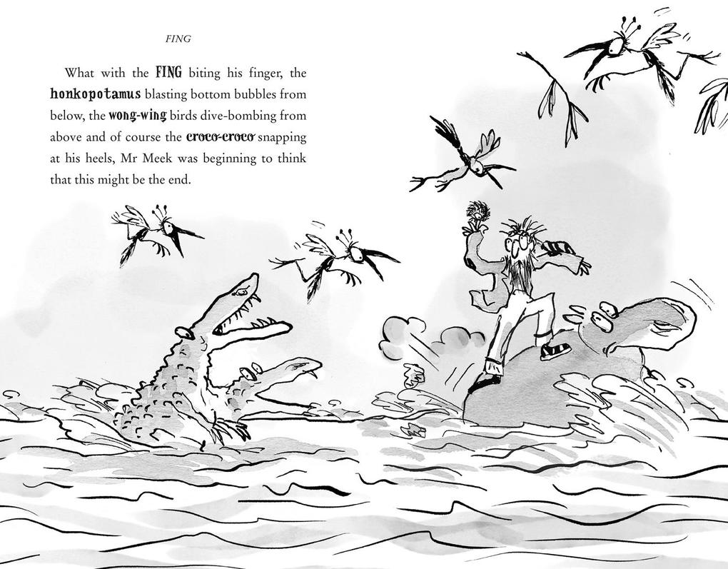 Weitere Ansicht: Fing | David Walliams