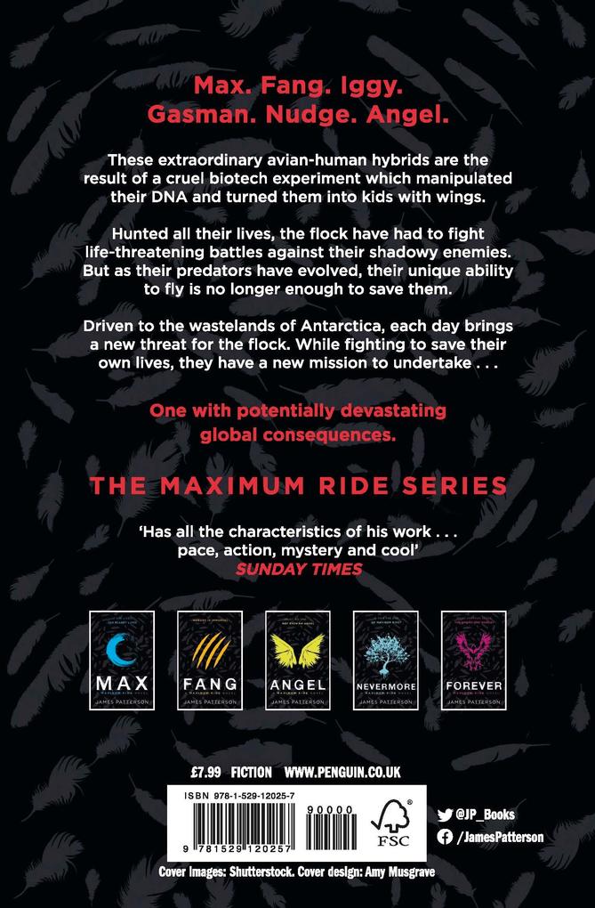 Weitere Ansicht: The Final Warning | James Patterson