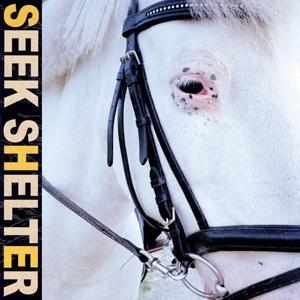 Produktbild: Seek Shelter | Iceage